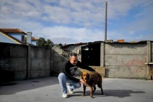 Bobi es el perrito más viejo del mundo; Tiene 30 años